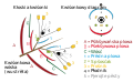 Vorschaubild der Version vom 12:59, 28. Aug. 2013