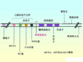 2017年12月15日 (五) 03:00版本的缩略图