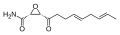 Минијатура за верзију на дан 16:13, 27. мај 2008.