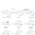 Миниатюра для версии от 22:21, 2 ноября 2009