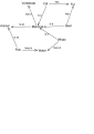 Минијатура за верзију на дан 14:05, 9. новембар 2006.