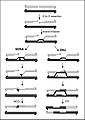 2013年7月27日 (六) 23:51版本的缩略图