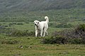 2008年6月11日 (水) 14:51時点における版のサムネイル