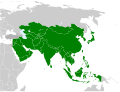 2010年11月13日 (六) 13:27版本的缩略图