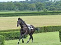 2021年6月22日 (火) 22:02時点における版のサムネイル