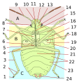 תמונה ממוזערת לגרסה מ־00:39, 20 ביולי 2008