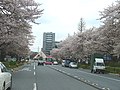 2006年4月9日 (日) 09:16時点における版のサムネイル