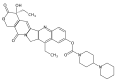 Миниатюра для версии от 20:41, 21 июня 2006