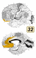 Thumbnail for version as of 06:30, 11 November 2009