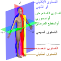 تصغير للنسخة بتاريخ 13:42، 26 يوليو 2020