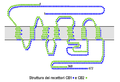 Miniatura della versione delle 17:00, 4 mar 2011