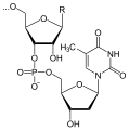 14:22, 11 Հունիսի 2007 տարբերակի մանրապատկերը