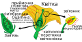 Мініатюра для версії від 11:33, 28 квітня 2011