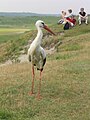 2007年12月27日 (木) 16:26時点における版のサムネイル