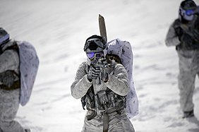 SEALs demonstrate winter warfare capabilities.