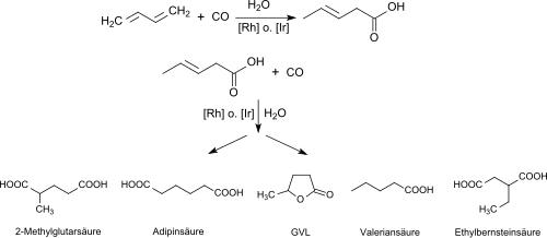 2-Methylglutarsäure durch Hydrocarboxylierung von Butadien