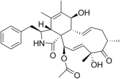 Cytochalasin C