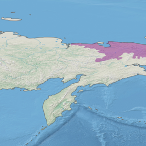 Ecoregion territory (in purple)