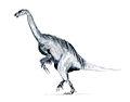 New version of Erlikosaurus based on therizinosaur