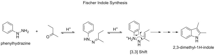 The Fischer indole synthesis