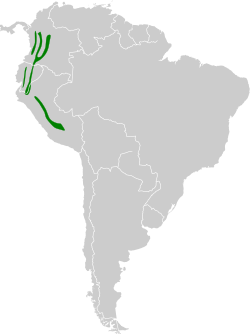 Distribución geográfica del brillante pechigamuza