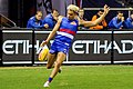 Jason Johannisen playing for the Western Bulldogs in 2017