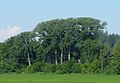 Natur- und Wildpark der Kärntner Jägerschaft in Mageregg