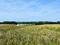 Blick zum Rieseberg vom Heiligen Berg bei Lauingen