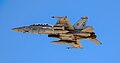 VMFA(AW)-225 F/A-18D Hornet, 2018