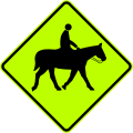 Ridden horses ahead