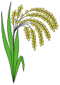 plant riz