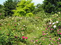 2008年6月13日 (金) 19:19時点における版のサムネイル