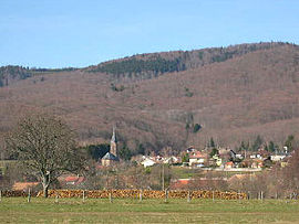 Village overview