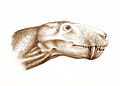 Sauroctonus