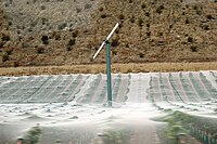 Stationäre Windmaschine in Neuseeland. (Der Weingarten ist bis zur Ernte mit einem weißen Vogelschutznetz abgedeckt.)