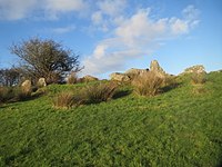 Court Tomb