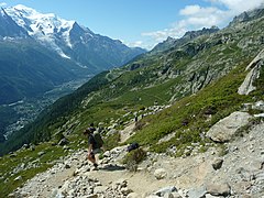 Après avoir franchi la Tête aux Vents, dernière grande difficulté, le début de la descente vers La Flégère au fond puis Chamonix plus bas.