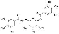 Chemical structure of 1,6-digalloyl glucose.