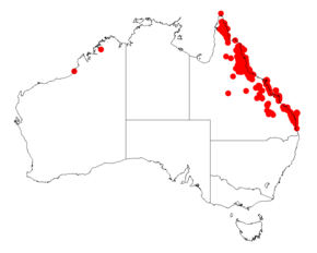 Description de l'image Acacia flavescensDistMap361.png.