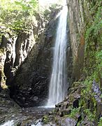 Cascade du loup.