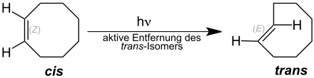 Photochemische Synthese von TCO Fox