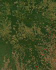 ’n Nasa-satellietfoto van ontbossing in die deelstaat Mato Grosso van Brasilië.