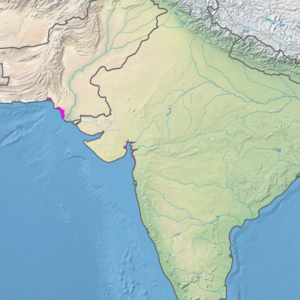 Ecoregion territory (in purple)