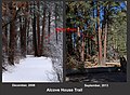 Flood damage along the Alcove House Trail, Bandelier National Monument