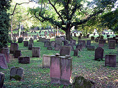 Le cimetière juif de Worms en Allemagne (Heiliger Sand) composé de stèles dressées, selon la tradition ashkénaze.