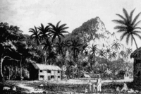 An 1831 engraving of John Adams Wooden house on Pitcairn Island