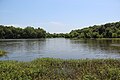 View of Lake Conestee