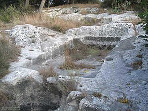 Cuve vinaire rupestre sur les collines de Migdal Haemek