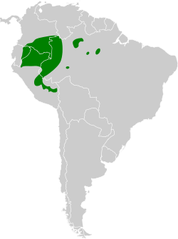 Distribución geográfica del batará arbustero.