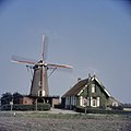 Wind mill and ivy covered house